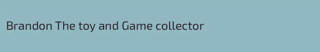 Brandon The toy and Game collector